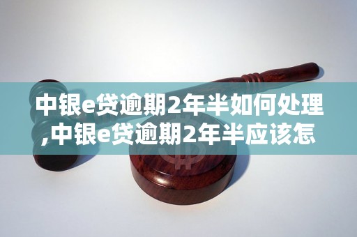 中银e贷逾期2年半如何处理,中银e贷逾期2年半应该怎么办理