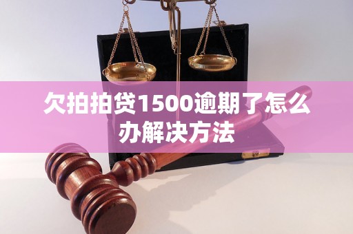 欠拍拍贷1500逾期了怎么办解决方法