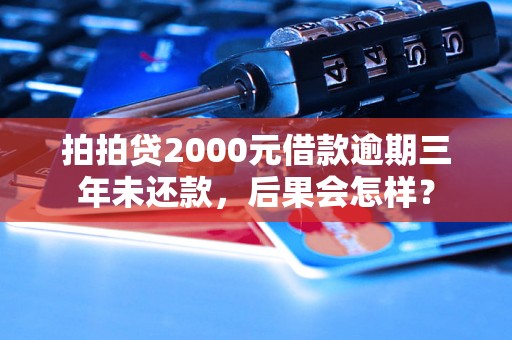 拍拍贷2000元借款逾期三年未还款，后果会怎样？