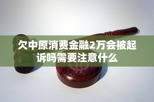 欠中原消费金融2万会被起诉吗需要注意什么