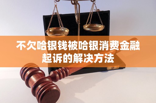 不欠哈银钱被哈银消费金融起诉的解决方法