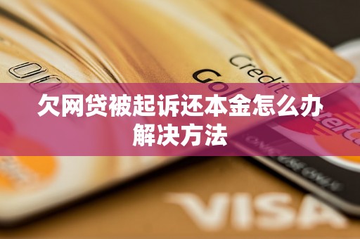 欠网贷被起诉还本金怎么办解决方法