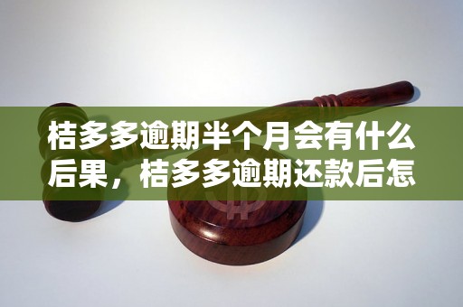 桔多多逾期半个月会有什么后果，桔多多逾期还款后怎么办