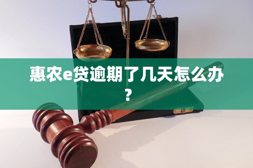 惠农e贷逾期了几天怎么办？