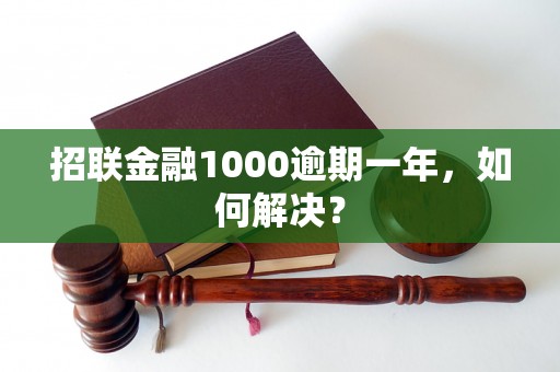 招联金融1000逾期一年，如何解决？