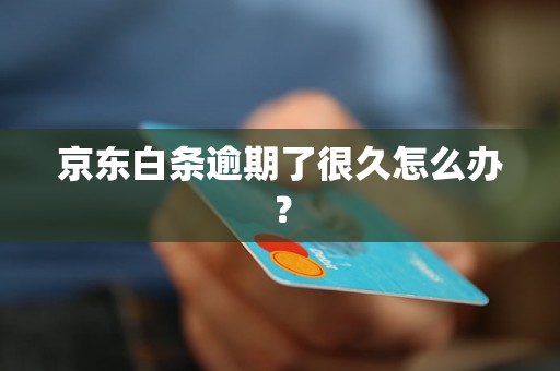 京东白条逾期了很久怎么办？