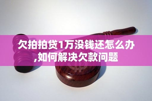 欠拍拍贷1万没钱还怎么办,如何解决欠款问题