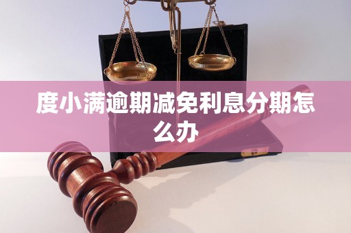 度小满逾期减免利息分期怎么办