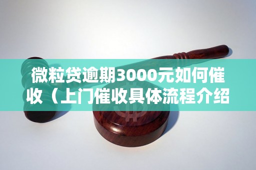 微粒贷逾期3000元如何催收（上门催收具体流程介绍）