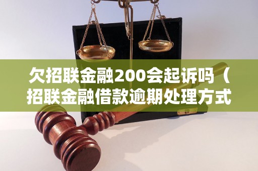 欠招联金融200会起诉吗（招联金融借款逾期处理方式）