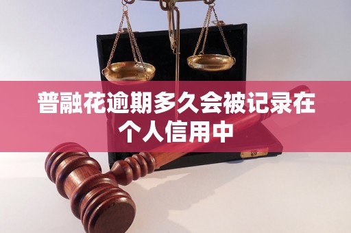 普融花逾期多久会被记录在个人信用中