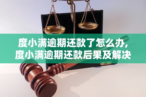 度小满逾期还款了怎么办,度小满逾期还款后果及解决办法