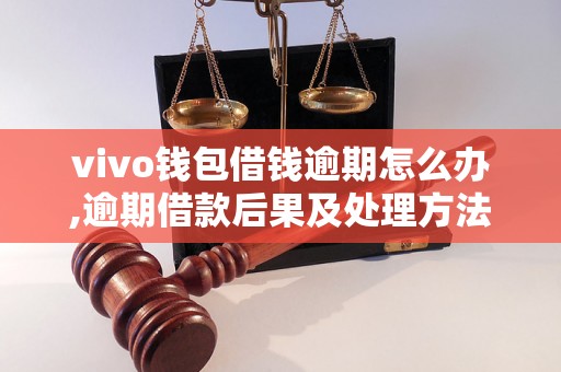 vivo钱包借钱逾期怎么办,逾期借款后果及处理方法