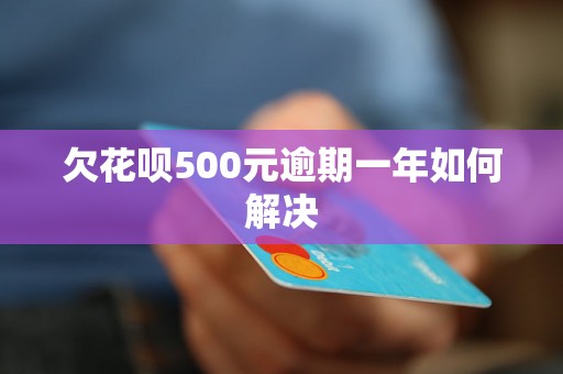 欠花呗500元逾期一年如何解决