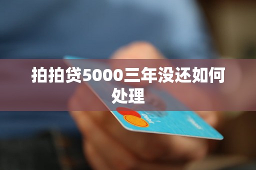 拍拍贷5000三年没还如何处理