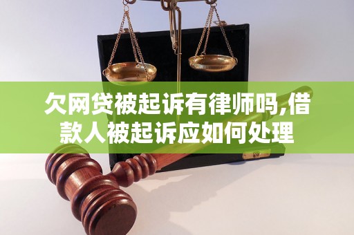 欠网贷被起诉有律师吗,借款人被起诉应如何处理