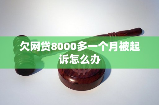 欠网贷8000多一个月被起诉怎么办