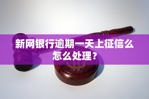 新网银行逾期一天上征信么怎么处理？