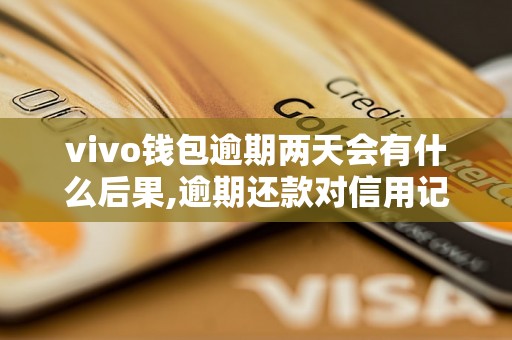 vivo钱包逾期两天会有什么后果,逾期还款对信用记录的影响