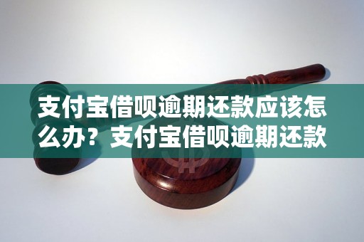 支付宝借呗逾期还款应该怎么办？支付宝借呗逾期还款流程解析