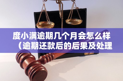 度小满逾期几个月会怎么样（逾期还款后的后果及处理方式）