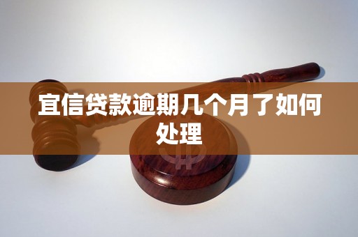 宜信贷款逾期几个月了如何处理