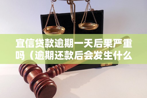 宜信贷款逾期一天后果严重吗（逾期还款后会发生什么）