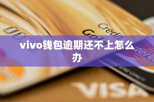 vivo钱包逾期还不上怎么办