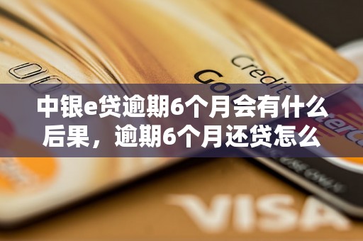 中银e贷逾期6个月会有什么后果，逾期6个月还贷怎么办