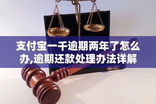 支付宝一千逾期两年了怎么办,逾期还款处理办法详解