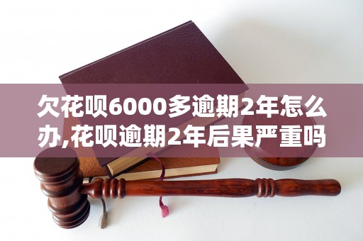 欠花呗6000多逾期2年怎么办,花呗逾期2年后果严重吗