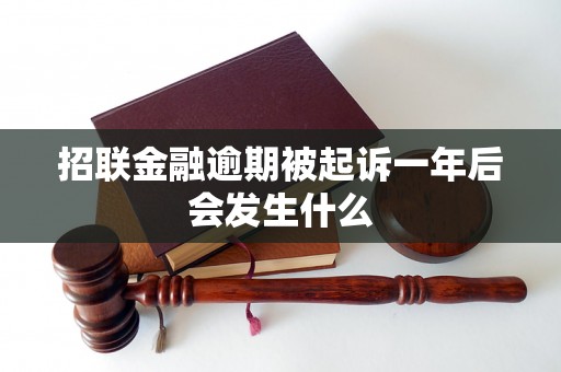 招联金融逾期被起诉一年后会发生什么