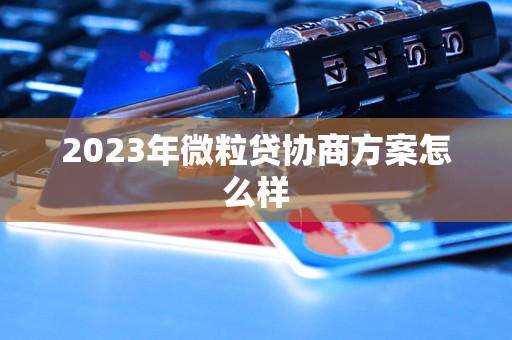 2023年微粒贷协商方案怎么样