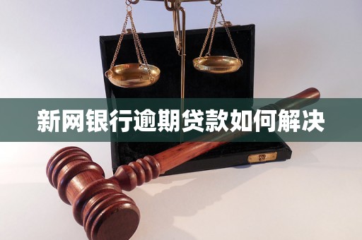 新网银行逾期贷款如何解决