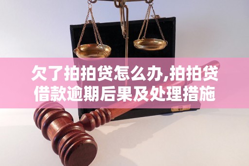 欠了拍拍贷怎么办,拍拍贷借款逾期后果及处理措施