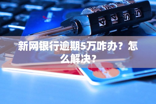 新网银行逾期5万咋办？怎么解决？