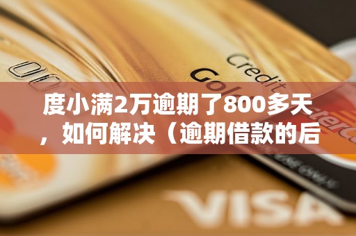 度小满2万逾期了800多天，如何解决（逾期借款的后果及解决方法）