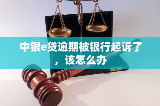 中银e贷逾期被银行起诉了，该怎么办