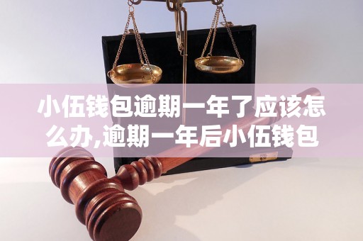 小伍钱包逾期一年了应该怎么办,逾期一年后小伍钱包的处理方法