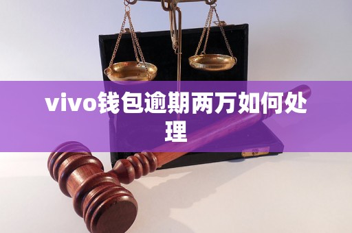 vivo钱包逾期两万如何处理