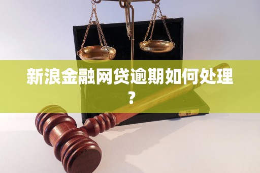 新浪金融网贷逾期如何处理？