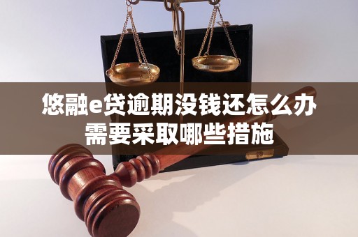 悠融e贷逾期没钱还怎么办需要采取哪些措施