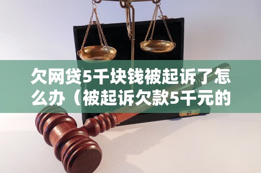 欠网贷5千块钱被起诉了怎么办（被起诉欠款5千元的处理方法）