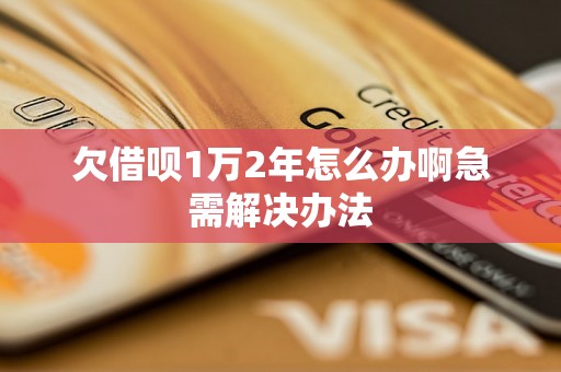 欠借呗1万2年怎么办啊急需解决办法