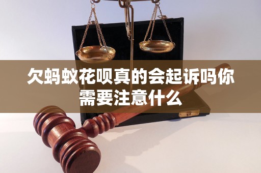 欠蚂蚁花呗真的会起诉吗你需要注意什么