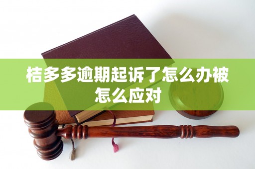 桔多多逾期起诉了怎么办被怎么应对