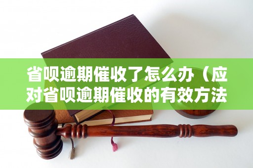 省呗逾期催收了怎么办（应对省呗逾期催收的有效方法）