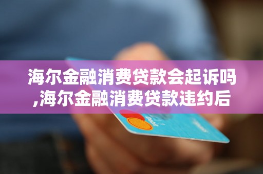 海尔金融消费贷款会起诉吗,海尔金融消费贷款违约后的法律后果