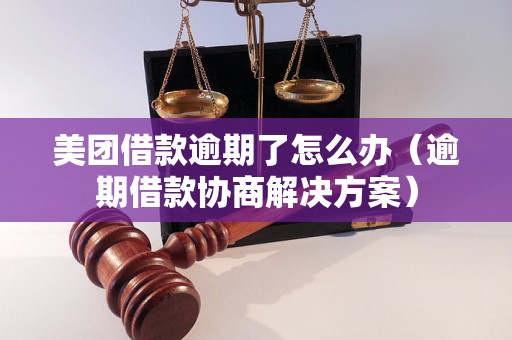 美团借款逾期了怎么办（逾期借款协商解决方案）