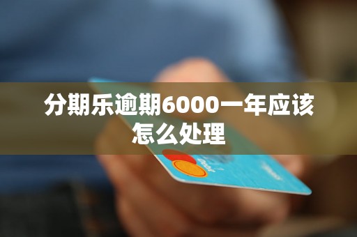 分期乐逾期6000一年应该怎么处理